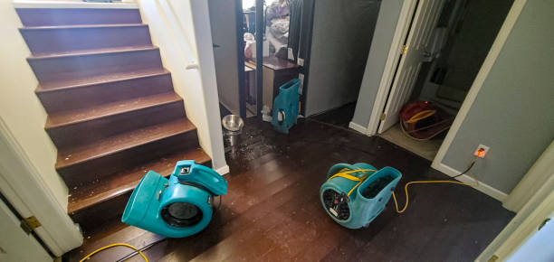 Best Flood damage cleanup  in Monticello, GA