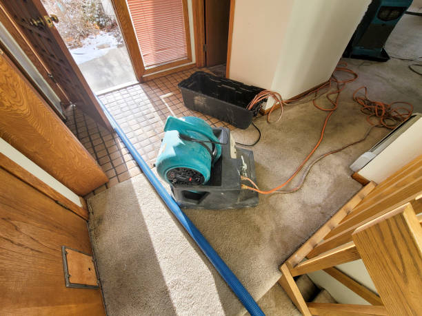 Water damage restoration mold remediation in Monticello, GA