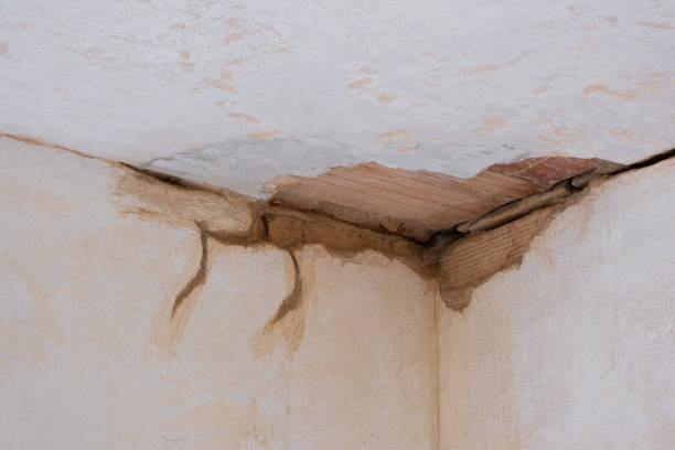 Best Basement water damage restoration  in Monticello, GA