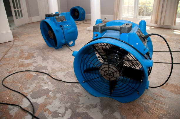 Best Water damage cleanup near me  in Monticello, GA