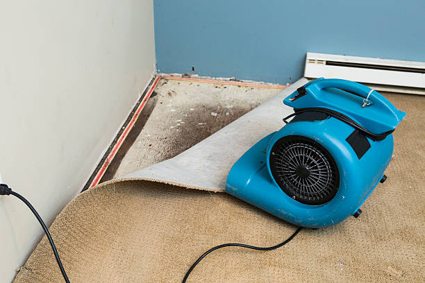 Best Sewage cleanup and water damage restoration  in Monticello, GA